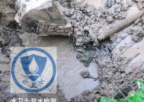 龙沙区水管漏水检测公司5